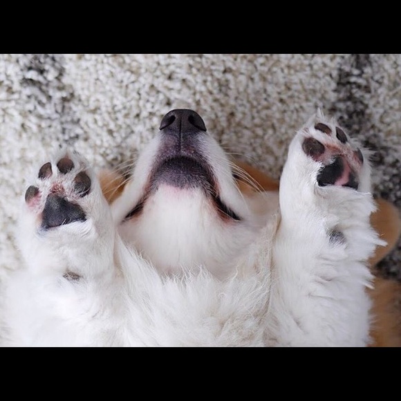 Meet your Posher, Eileen - Picture 1 of 1